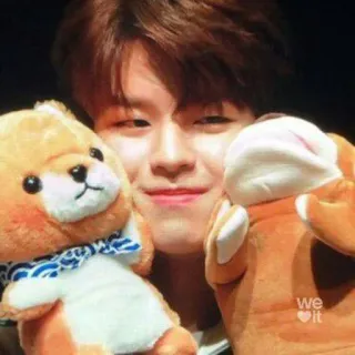 🐶 homme, personne, sourire, peluche, animal en peluche, weheartit whatsapp sticker