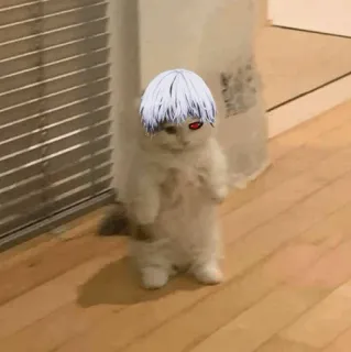 Standing Cat Anime @Icarusfalls telegram stickers