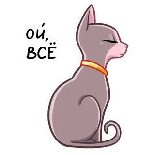 😐 ой, всё kot, zwierzę, szary, obroża, rosyjski, wyraz whatsapp sticker