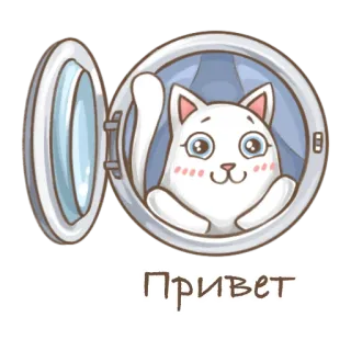 🙂 Привет cat, washing machine, greeting, russian, cute telegram sticker