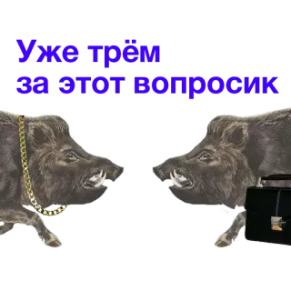 👥 Уже трём за этот вопросик jabalí, animales, maletas telegram sticker