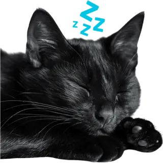Кошачий отряд @Nyasticks2 telegram stickers