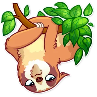 🙃 สลอธ, สัตว์, น่ารัก, ใบไม้, ต้นไม้, ขี้เกียจ telegram sticker