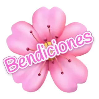 🤲 Bendiciones segen, blume, rosa, spanisch, gruß telegram sticker