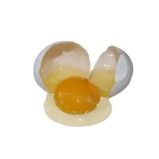 🥚 telur, makanan, memasak, sarapan, kuning telur, cangkang telegram sticker