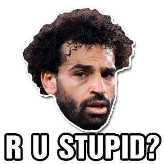 😅 R U STUPID? Оскорбление, Мем, Вопрос telegram sticker