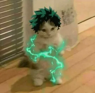 ⚡️ Izuku Midoriya My Hero Academia cat, anime, my hero academia, izuku midoriya, deku, funny, pet telegram sticker