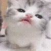 😋