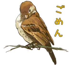 🐤 ごめん птица, воробей, животное, каваий, извини, прости whatsapp sticker