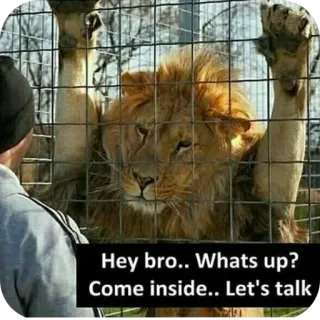😏 Hey bro.. Whats up? Come inside.. Let's talk telegram sticker