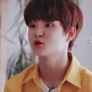 🐼 눈댕 coreano, persona, niño, amarillo, conversación whatsapp sticker