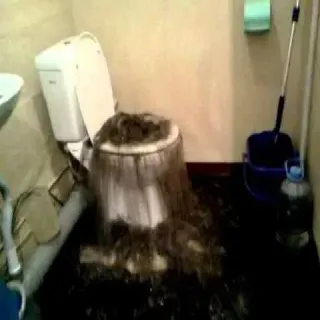 🌊 toilet, clogged, hair, bathroom, gross, unpleasant telegram sticker