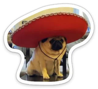🍾 pug, dog, sombrero, hat, pet, animal, cute telegram sticker