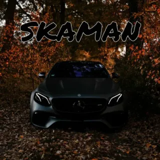 🇹🇯 SKAMAN Auto, Herbst, Fahrzeug telegram sticker