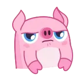 😖 豚, 怒り, 動物, 漫画, 可愛い telegram sticker