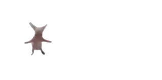 🕺 telegram sticker