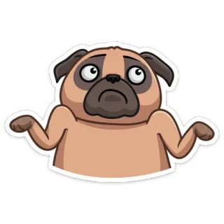 🤷 dog, pug, confused, shrug, animal, pet, cute telegram sticker