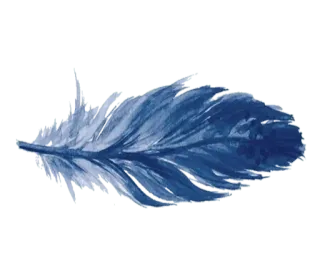 🪶 pluma, azul, suave, ligero, naturaleza, escritura telegram sticker