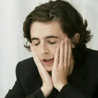 😑 Timothée Chalamet ator, celebridade, retrato, Timothée Chalamet telegram sticker