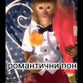 🥰 романтични пон scimmia, abito, smoking, romantico telegram sticker