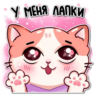 ☺️ У МЕНЯ ЛАПКИ mèo, dễ thương, động vật, nhãn dán, kawaii, mèo con whatsapp sticker
