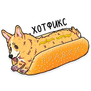 корги кодеры (@kotypic) telegram stickers
