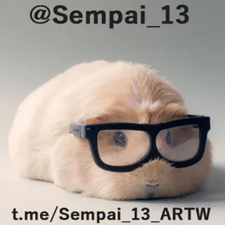 👤 @Sempai_13 guinea pig, glasses, cute, animal, pet telegram sticker