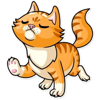 🚶‍♀️ gato, animal, adesivo, gato laranja, animal doméstico telegram sticker