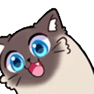 🐱