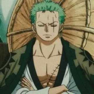⚔️ Zoro One Piece Anime, One Piece, Roronoa Zoro, Zoro, Charakter, Schwertkämpfer telegram sticker