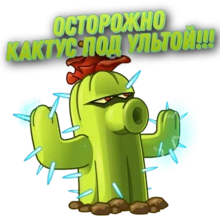 🌟 ОСТОРОЖНО
КАКТУС ПОД УЛЬТОЙ!!! Kaktus, Pflanze, Warnung, Plants vs Zombies telegram sticker
