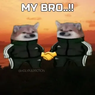 🤝 MY BRO..!! doge, shiba inu, uścisk dłoni, ziomek, mój ziomek whatsapp sticker