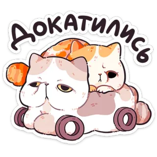 🐱 Докатилось gatto, adesivo, russo, divertente, cartone animato telegram sticker