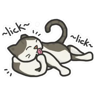 😆 lick lick gato, lamiendo, pegatina, animal, lindo telegram sticker