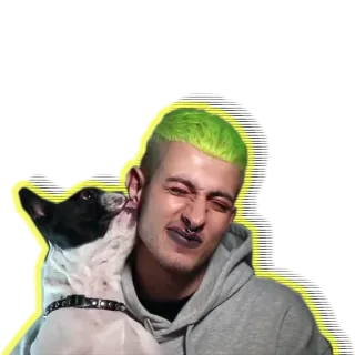 💞 mężczyzna, pies, zwierzę domowe, zielone włosy, lizanie, ucho, zwierzę, portret telegram sticker