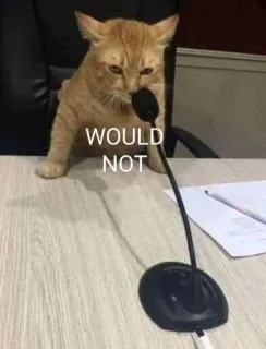 🎙 WOULD NOT Katze, Mikrofon, Tisch, Büro, Ernst, Nein telegram sticker