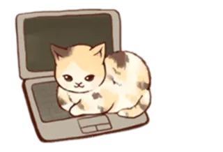 🙂 chat, ordinateur portable, animal, ordinateur, chaton, animal de compagnie telegram sticker