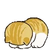 😴