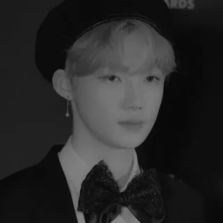 🌕 portrait, personne, garçon, béret, nœud papillon, K-pop whatsapp sticker