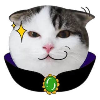 😏 Katze, Tier, Sticker, süß, Cartoon, Haustier telegram sticker