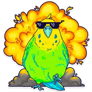 🔥 ptak, papużka falista, okulary przeciwsłoneczne, pikselowy, mem, fajny, żółty, zielony telegram sticker