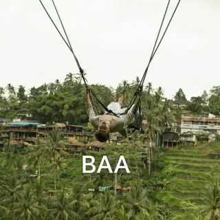 ⚡️ BAA balançoire, Bali Swing, nature, aventure, loisirs, voyage telegram sticker