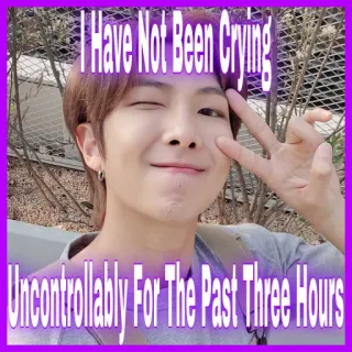 😭 RM I Have Not Been Crying Uncontrollably For The Past Three Hours drôle, kpop, mème, rm, bts, pleurer, humour telegram sticker
