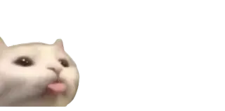 😛 gatto, animale, divertente, carino, animale domestico, meme telegram sticker
