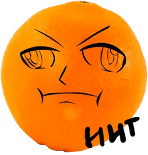 ☹️ HWT orange, fruit, cartoon, face, funny, sticker whatsapp sticker
