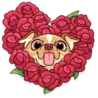 😘 perro, rosas, corazón, lindo, cachorro, mascota, animal, amor whatsapp sticker