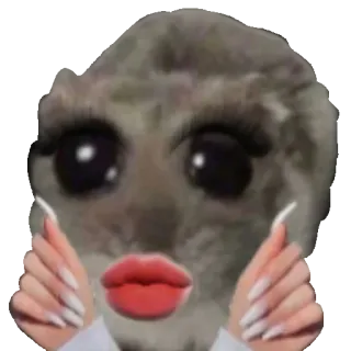 💅 Sad Cat sad cat, meme, makeup, eyelashes, manicured nails, lipstick, funny, crying cat telegram sticker
