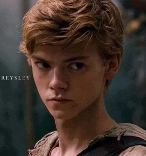 🙄 Newt The Maze Runner teenager, boy, blonde, serious, movie telegram sticker