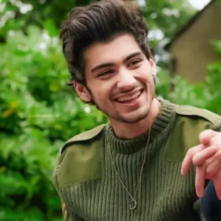 😂 Zayn Malik ZAYNISWORLD 歌手, 有名人, ポートレート, 男性, 緑のセーター telegram sticker