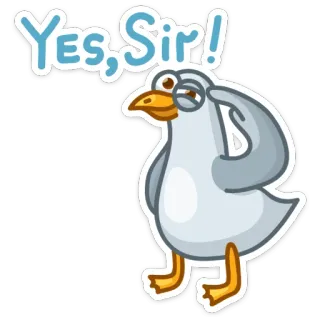 🤝 YES, SIR! gaivota, pássaro, sim senhor, obediência, engraçado, animal whatsapp sticker